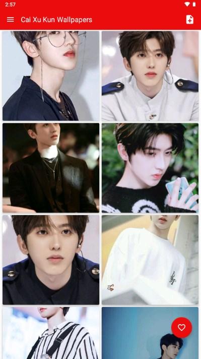 蔡徐坤wallpaper壁纸app(Cai Xu Kun Wallpapers) v1.0 官方版