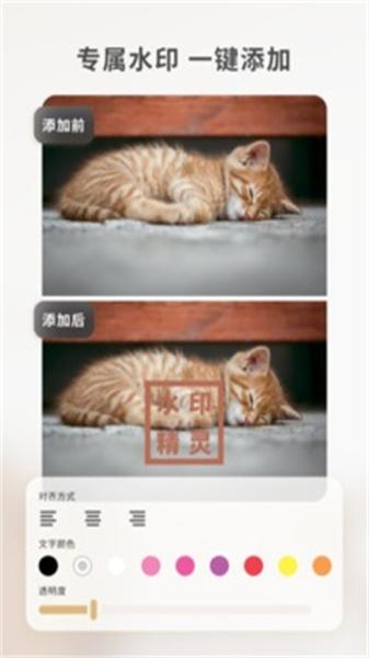 乐其爱水印精灵免费版  v5.2.2