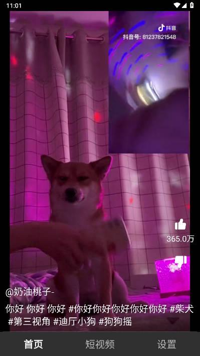 闪音短视频软件 v1.0 安卓版 v1.0 安卓版