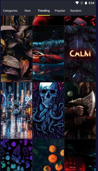 高清桌布壁纸软件2023版(Wallspic) v1.5.3 安卓中文版 v1.5.3 安卓中文版