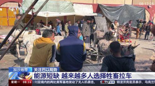 巴豆侠TV