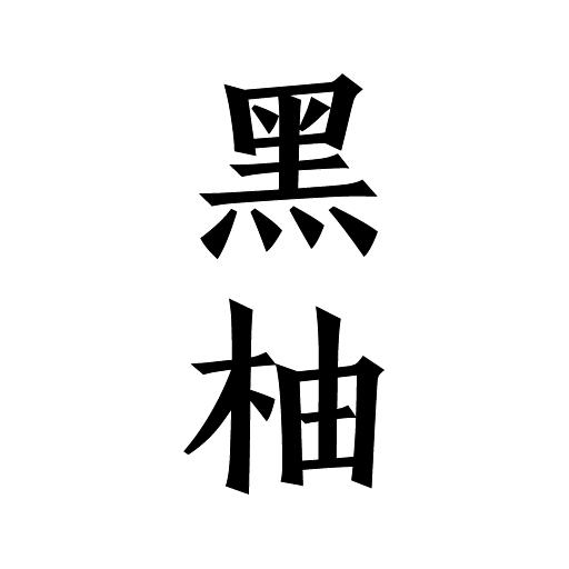 黑柚小说app自带书源版 v1.0.1 安卓版