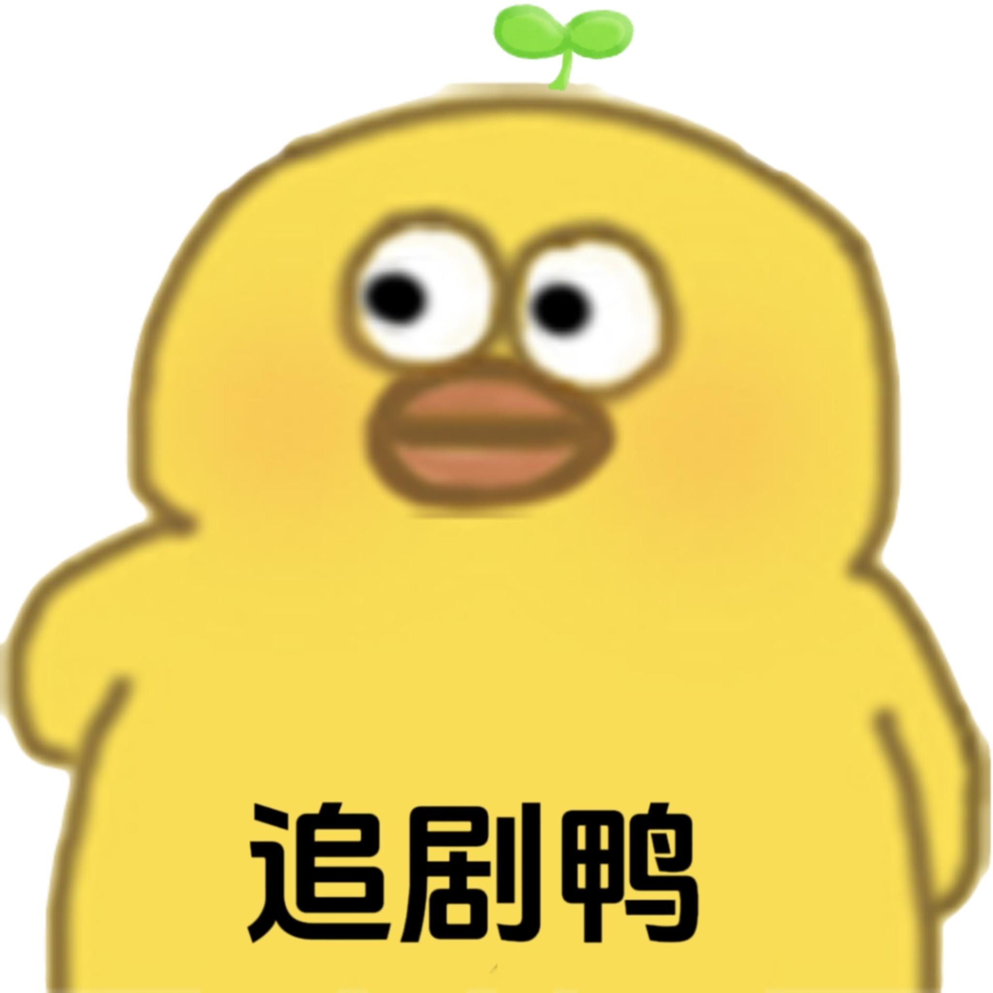 追剧鸭免费追剧软件 v1.0.0 安卓版