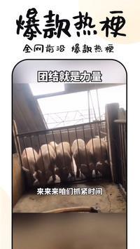 3分钟短剧app最新版 v1.0.8 安卓版 v1.0.8 安卓版