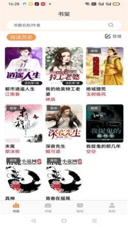 枕上读书小说