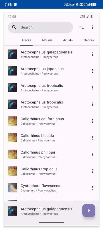 Phocid音乐播放器手机版 v20241125 安卓离线版 v20241125 安卓离线版