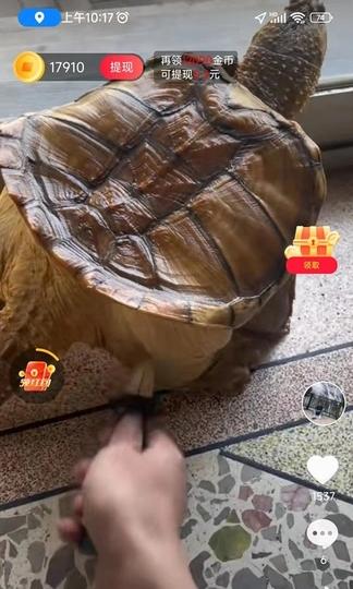 飞趣短视频红包版 v3.0.6 安卓最新版 v3.0.6 安卓最新版