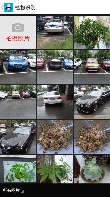 全能拍照识别  v4.3.3