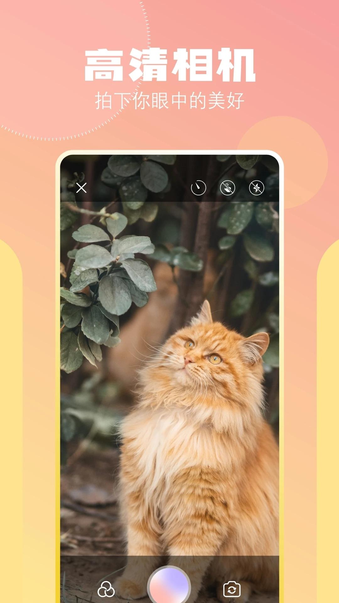 Varlens全能相机 v1.0.0 安卓版 v1.0.0 安卓版