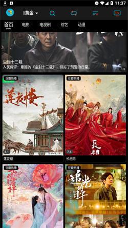 黄金影视apk