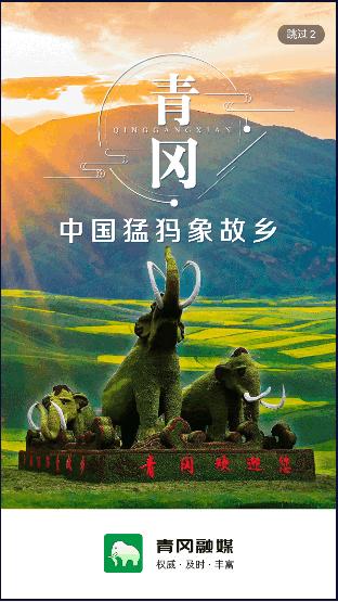 青冈融媒APP客户端 v4.5.0 安卓版 v4.5.0 安卓版