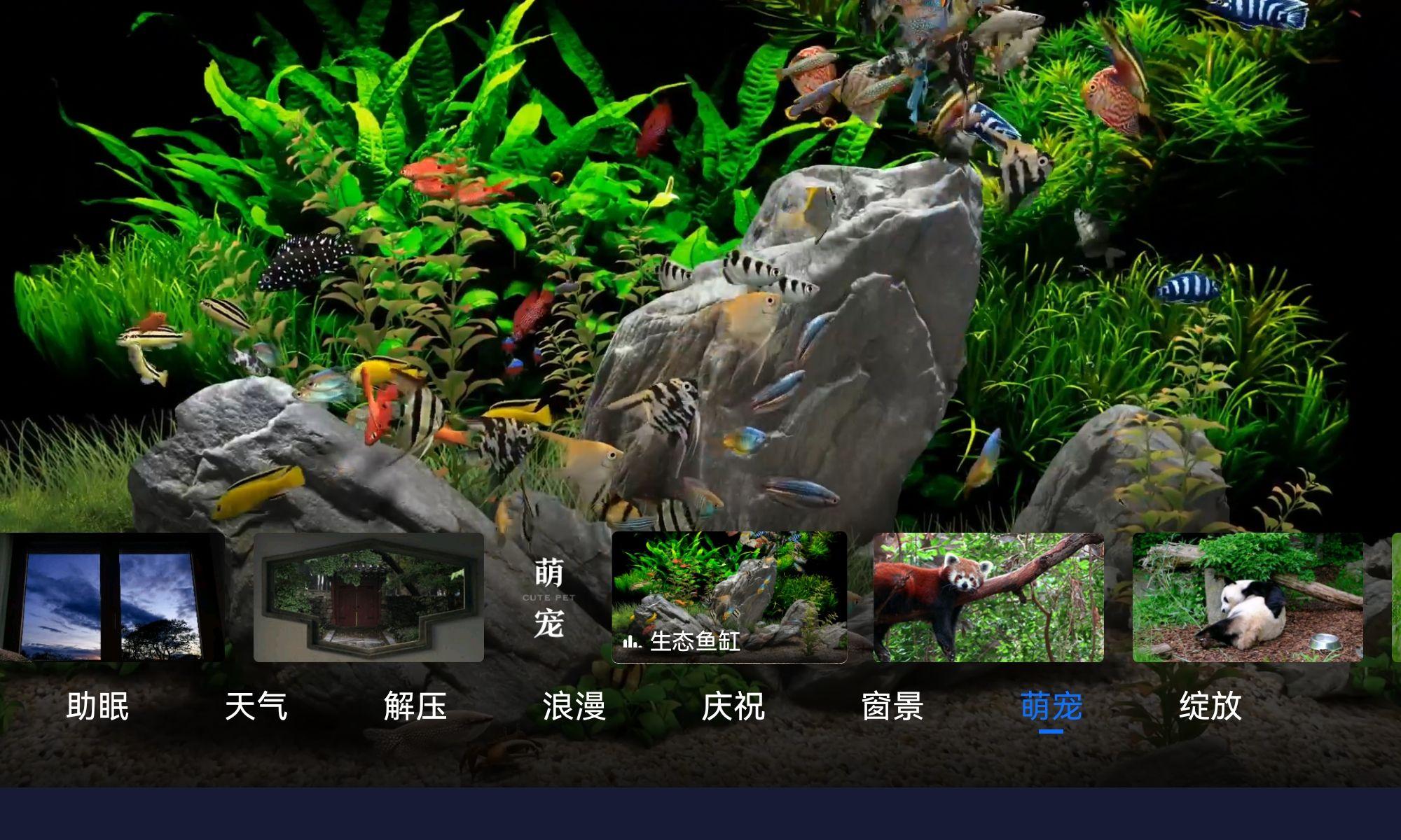 氛围壁纸app官方正版 v2.6.1135 安卓版 v2.6.1135 安卓版