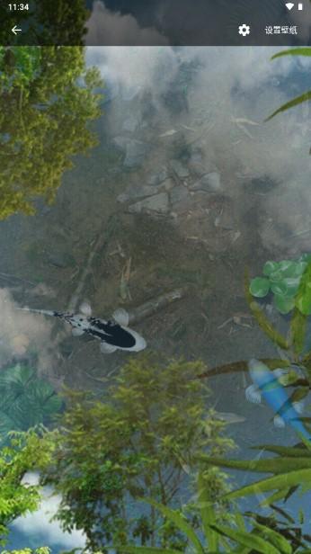 鱼池动态壁纸app v1.97 手机版 v1.97 手机版