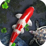 鱼池动态壁纸app v1.97 手机版