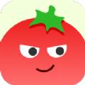 番茄相册大师app官方版 v1.0.0.0 安卓版
