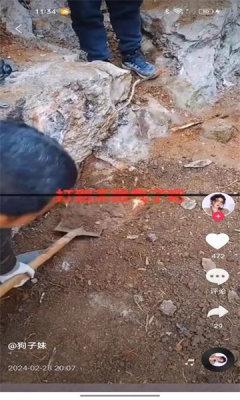 蓝天鹰短视频平台 v2.4.8 安卓最新版 v2.4.8 安卓最新版