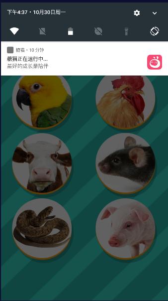 人鸡翻译器中文版(Pet Translator) v1.22 安卓汉化版 v1.22 安卓汉化版