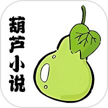 葫芦小说阅读器 