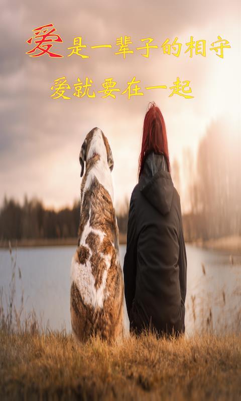 米族人猫交流器 