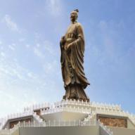 爱定陶app官方下载安装2023最新 1.0.49 手机版