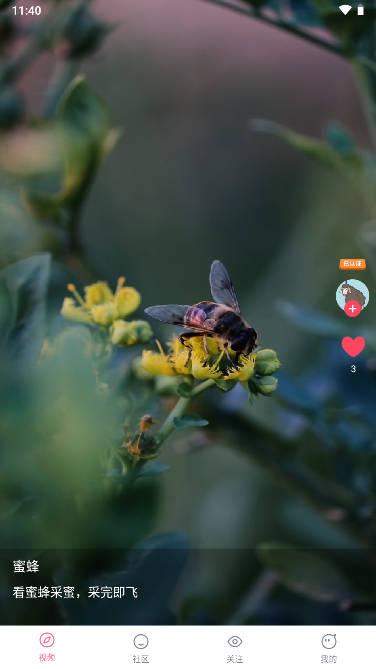 聚宝短视频app v1.3.0 安卓最新版