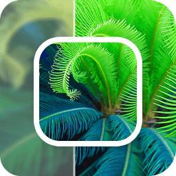 数创模糊照片修复 