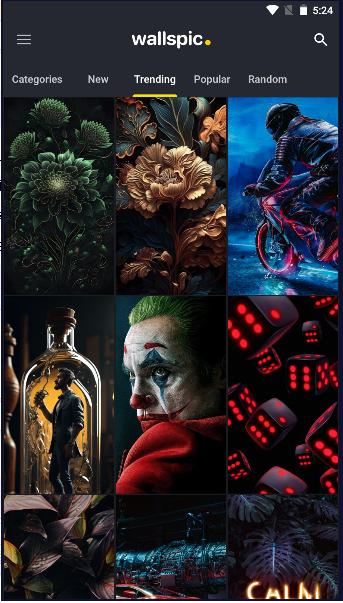 高清桌布壁纸软件2023版(Wallspic) v1.5.3 安卓中文版 v1.5.3 安卓中文版