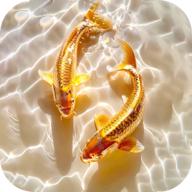 桌面养鱼壁纸高清版全屏 v1.0.6 安卓版