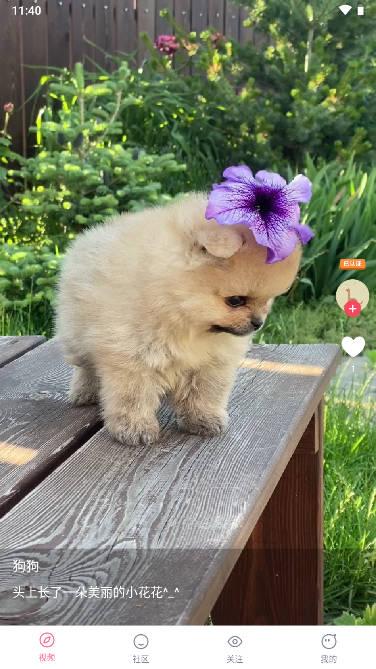 聚宝短视频app v1.3.0 安卓最新版