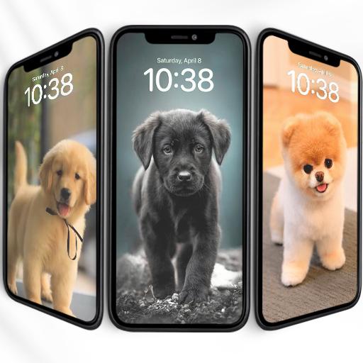 小狗高清壁纸软件免费版 v1.0 安卓手机版