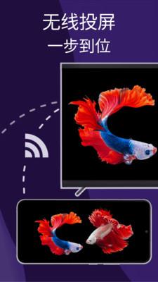雨燕投屏手机版 