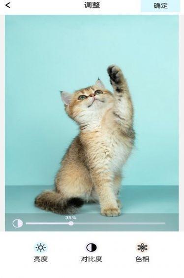 青橘美化  v4.0.2