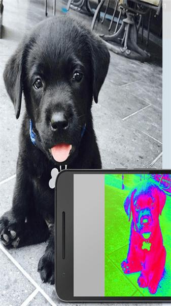 Thermal Camera安卓版  v3.3.3