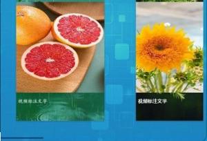 精灵剪辑  v4.0.2