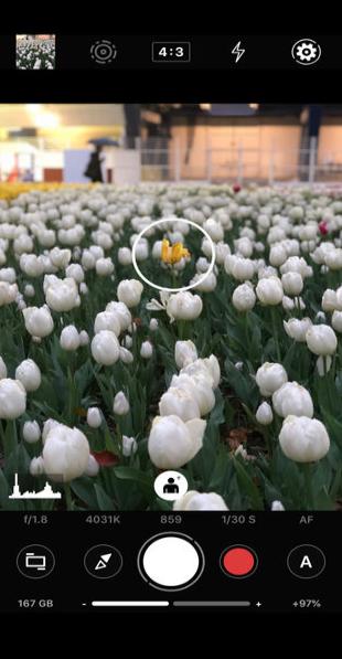 ProShot相机  v6.4.1