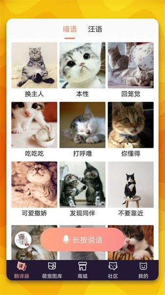 猫语翻译器正版 