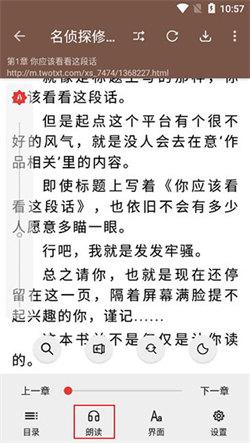 开源小说