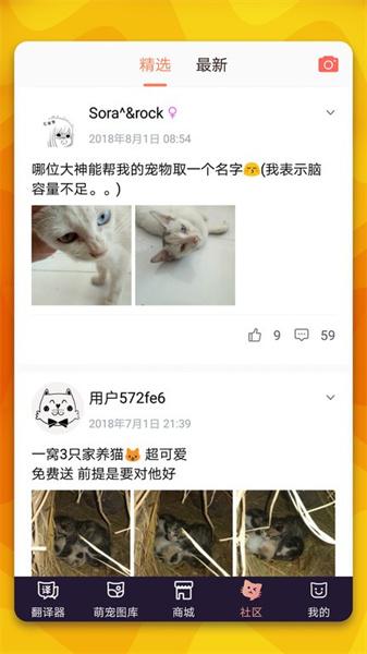 猫语翻译器正版 
