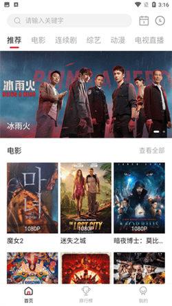 喜鹊影视