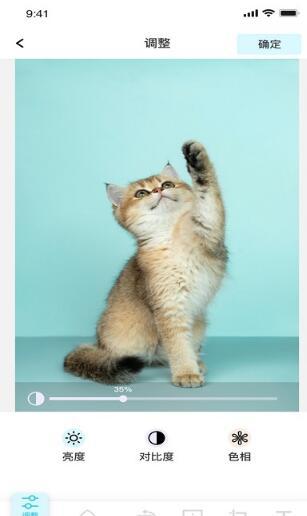 青橘美化  v4.0.2