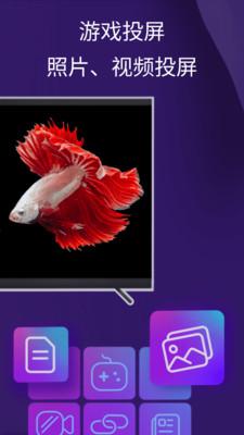 雨燕投屏手机版 