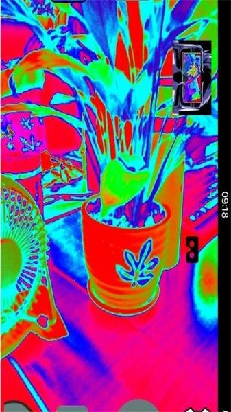 Thermal Camera安卓版