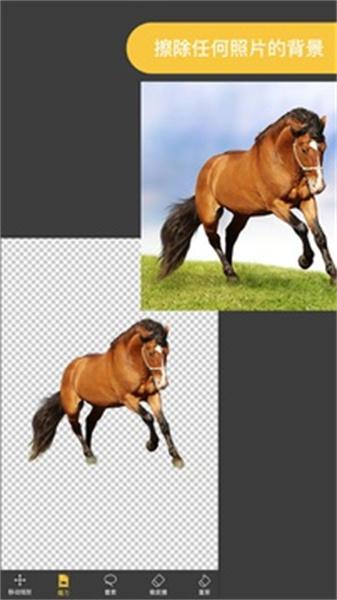 ProKnockout安卓版 