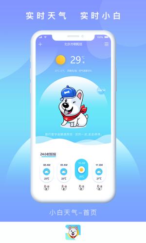 小白天气app 