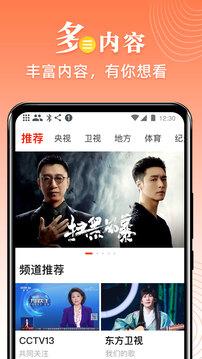 爱看电视tv