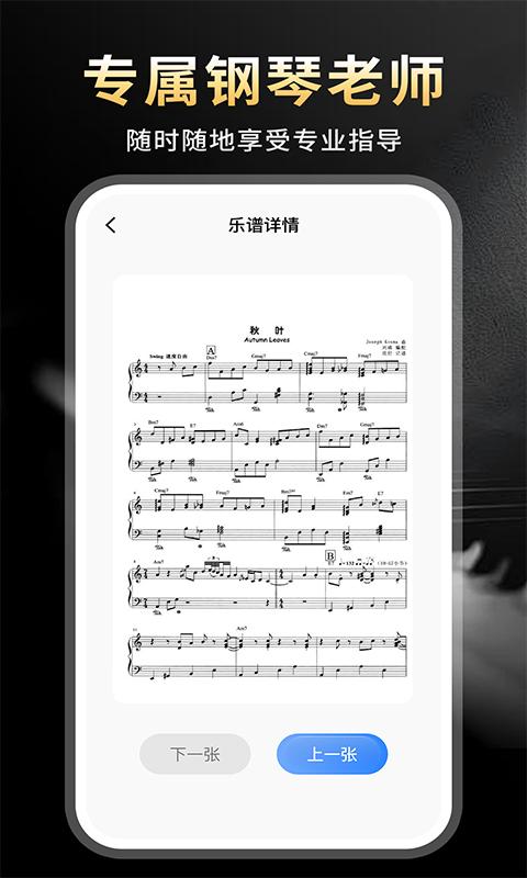 完美节奏钢琴下载介绍图