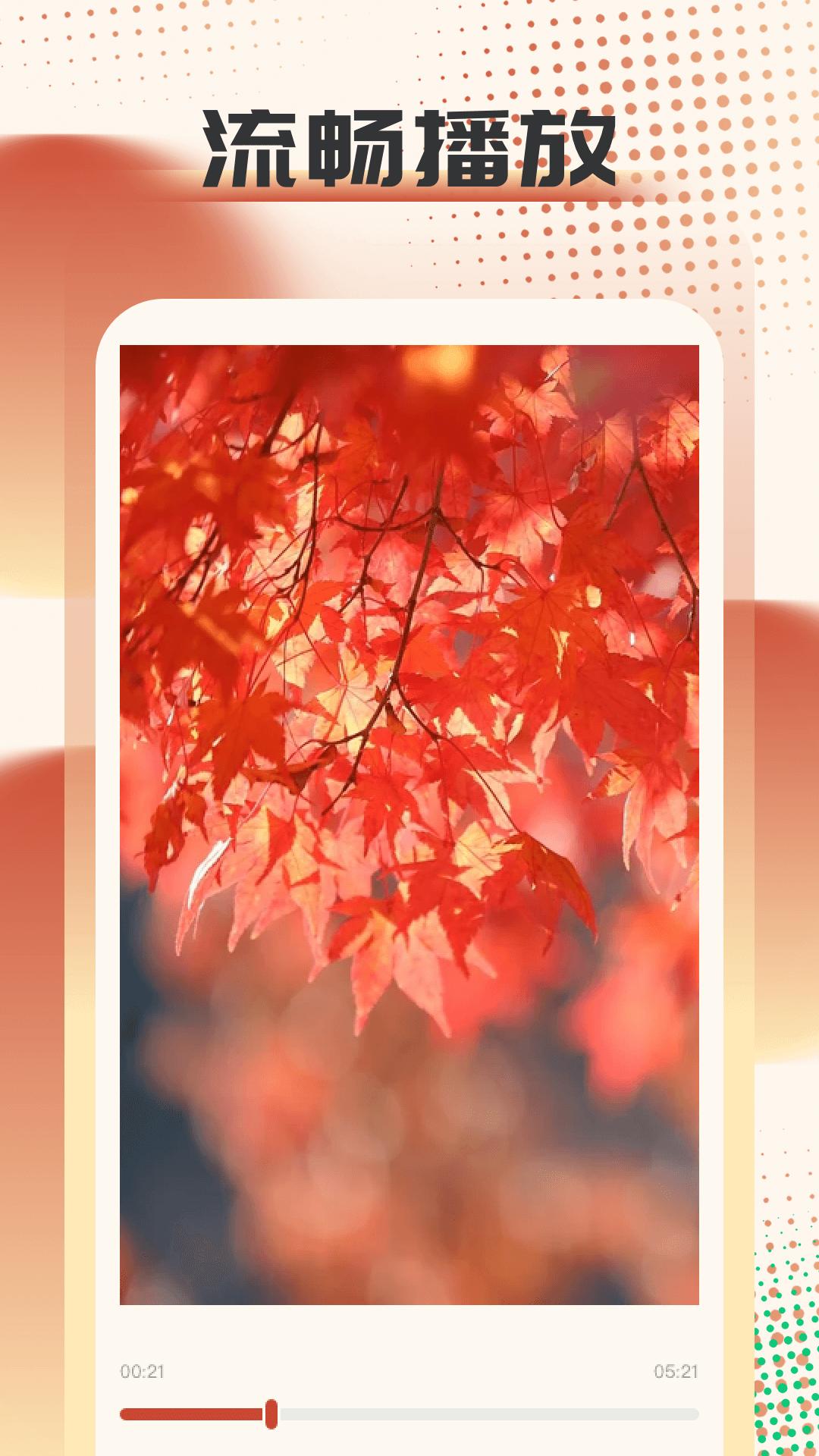 疾风视频播放器 v6.5.1