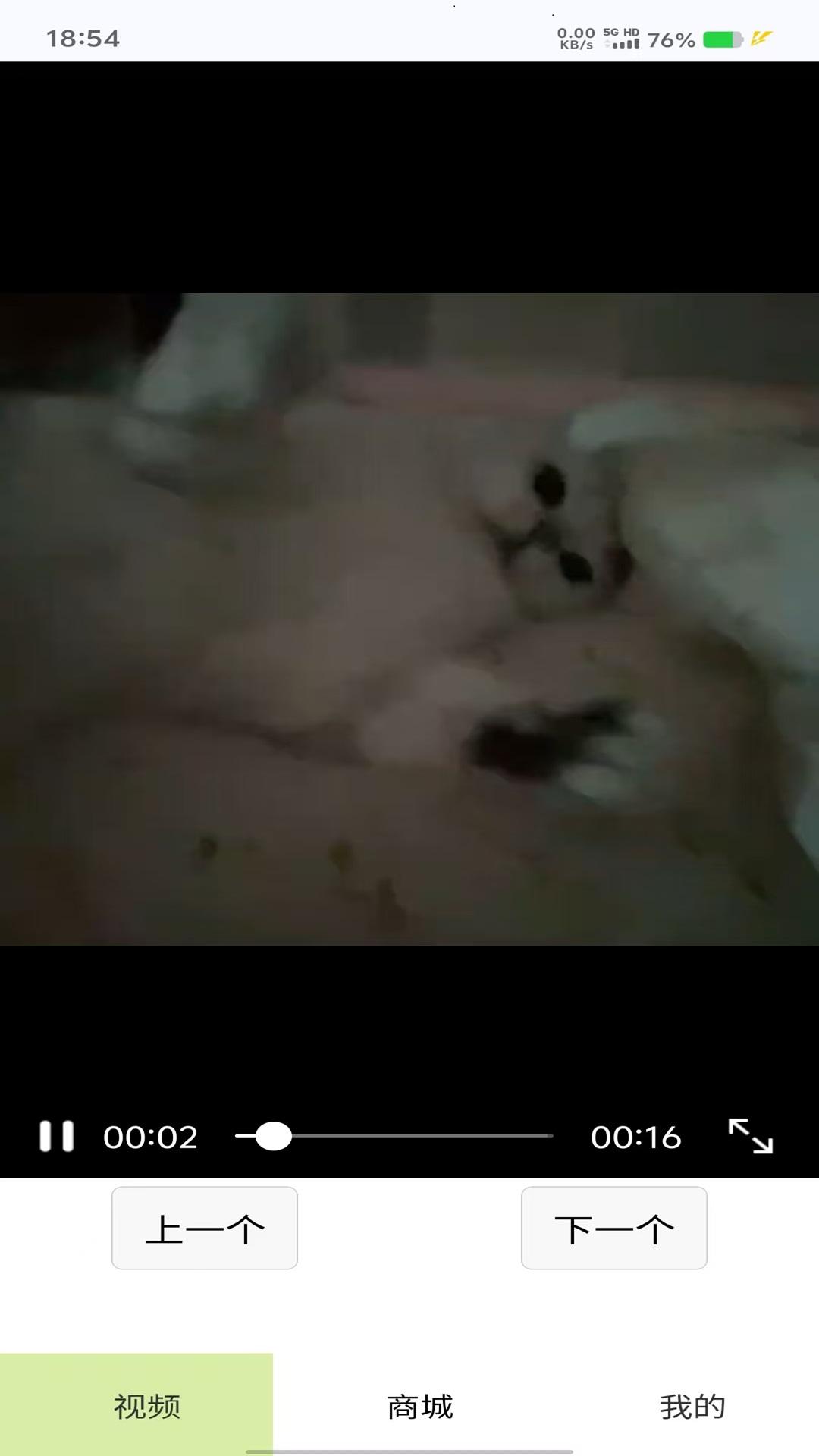 云顶红包派 v5.0.3