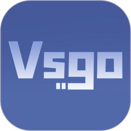 Vsgo
