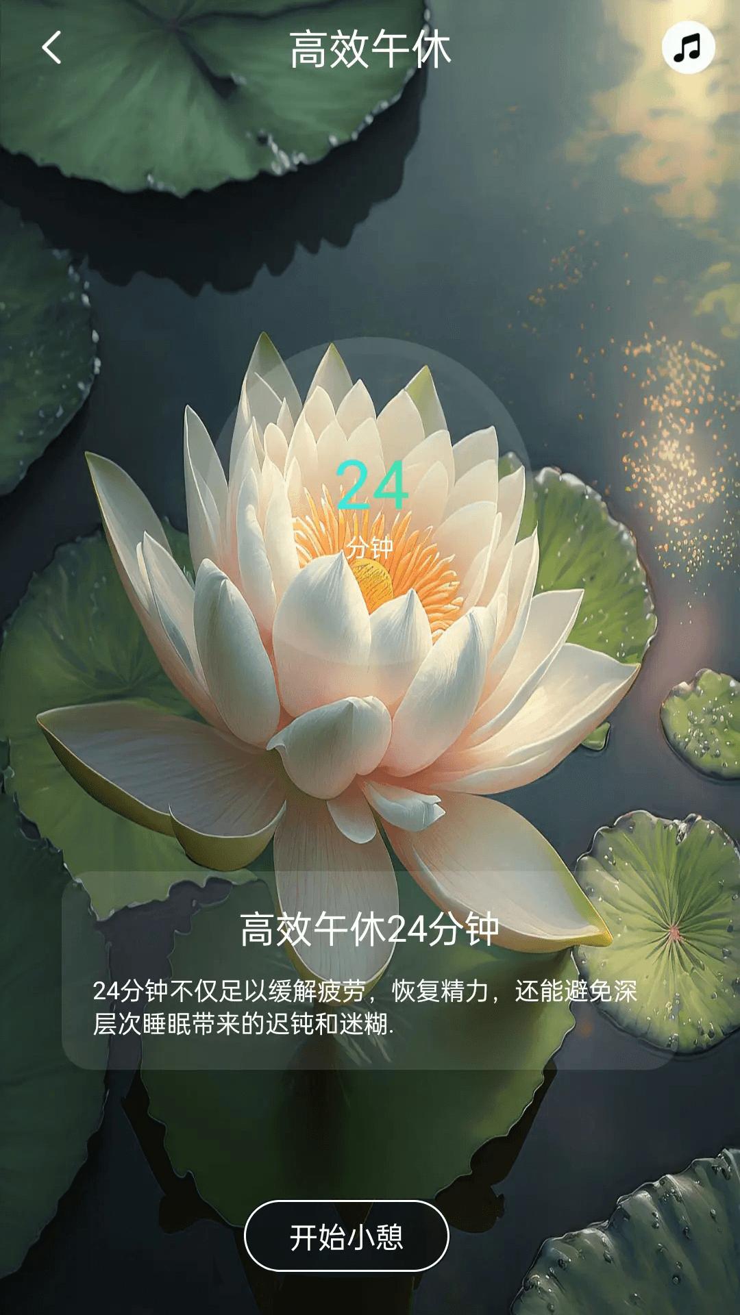 功德木鱼 v5.5.3